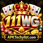 111WG Game